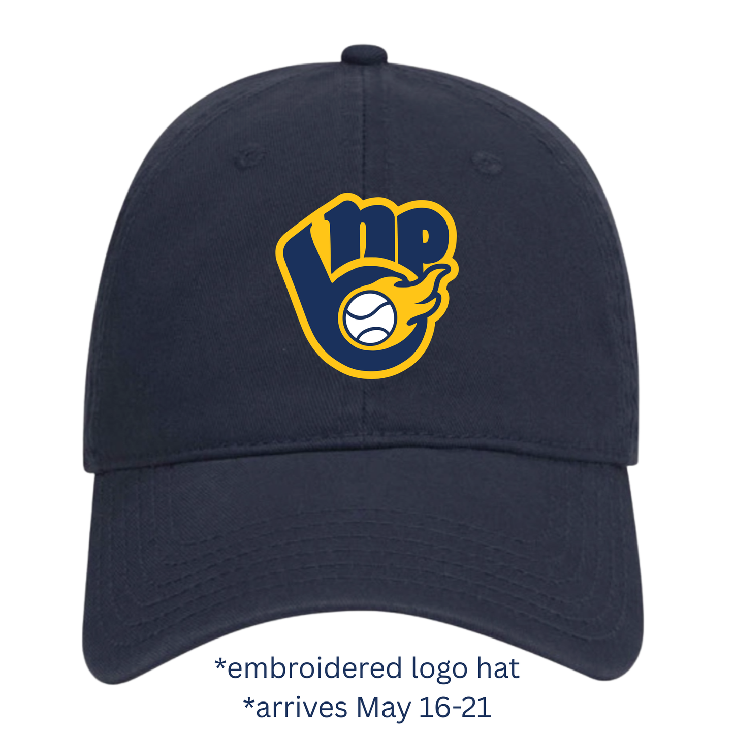 BLAZERS | Embroidered Dad Hat *PRE-ORDER*