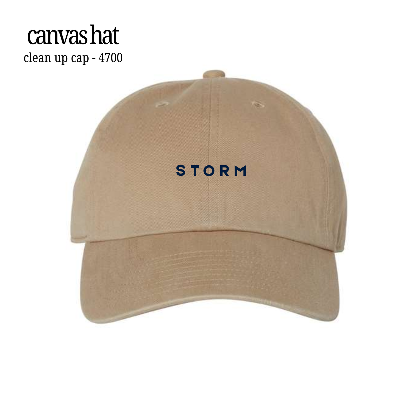 STORM | Embroidered Dad Hat *PRE-ORDER*